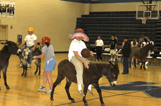 Donkey Basketball
